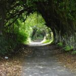IMG_0685.jpeg